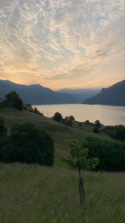 Hotel Roessli Oberried am Brienzersee Exteriér fotografie